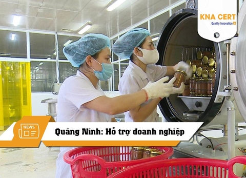 Quảng Ninh: Hỗ trợ doanh nghiệp nâng cao năng suất và chất lượng