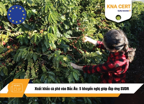 Xuất khẩu cà phê vào Bắc Âu: 5 khuyến nghị giúp đáp ứng EUDR