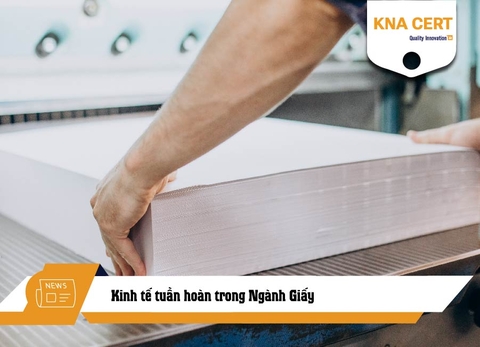 Kinh tế tuần hoàn trong Ngành Giấy