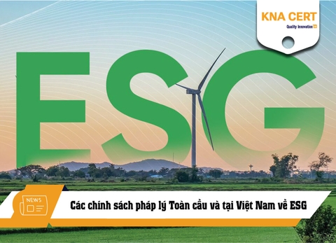 Các chính sách pháp lý Toàn cầu và tại Việt Nam về ESG