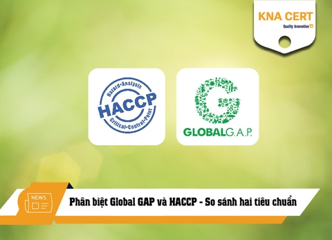 Phân biệt Global GAP và HACCP - So sánh hai tiêu chuẩn