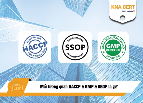 Mối tương quan HACCP & GMP & SSOP là gì? Phân biệt 3 tiêu chuẩn
