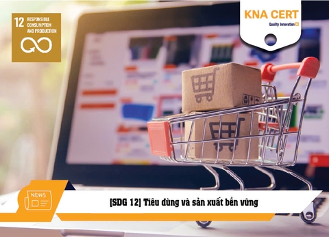 [SDG 12] Tiêu dùng và sản xuất bền vững - Mục tiêu Phát triển Bền vững số 12