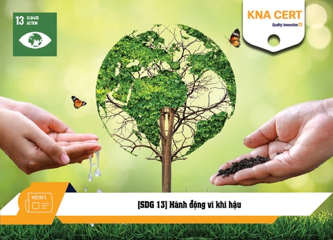 [SDG 13] Hành động vì khí hậu - Mục tiêu Phát triển Bền vững số 13