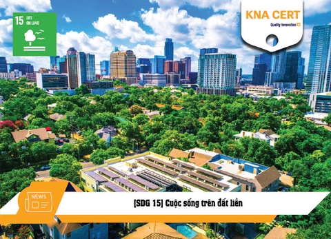 [SDG 15] Cuộc sống trên đất liền -  Mục tiêu Phát triển Bền vững số 15