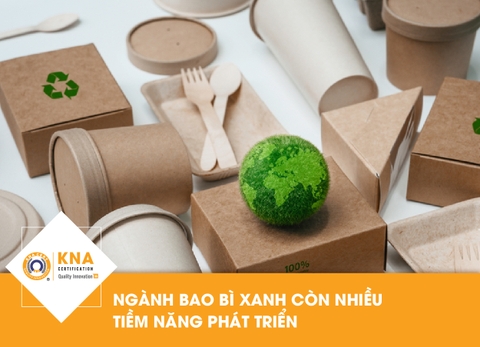 Ngành bao bì xanh còn nhiều tiềm năng phát triển 