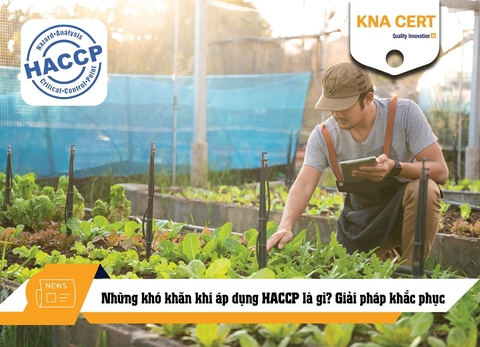 Những khó khăn khi áp dụng HACCP là gì? Giải pháp khắc phục