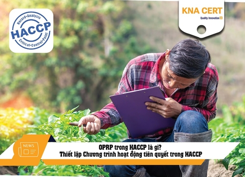 OPRP trong HACCP là gì? Thiết lập Chương trình hoạt động tiên quyết trong HACCP
