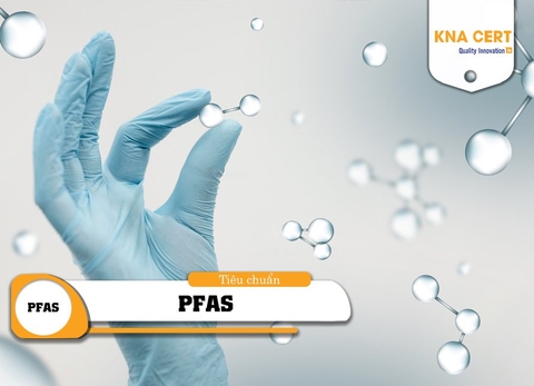 EU xem xét cấm các loại 