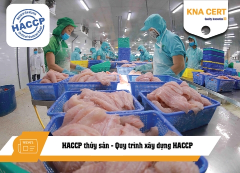 HACCP thủy sản là gì? Quy trình xây dựng HACCP cho nhà máy thủy sản
