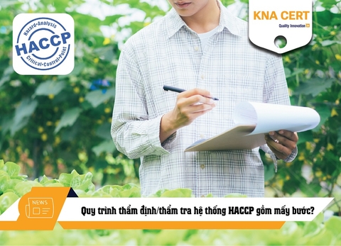 Quy trình thẩm định/thẩm tra hệ thống HACCP gồm mấy bước?