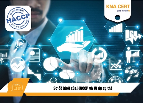 Sơ đồ khối của HACCP và Ví dụ cụ thể