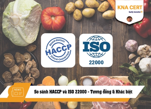 So sánh HACCP và ISO 22000 - Tương đồng & Khác biệt ở đâu?