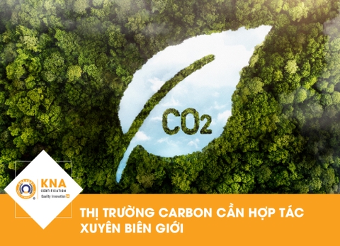 Thị trường carbon cần hợp tác xuyên biên giới 