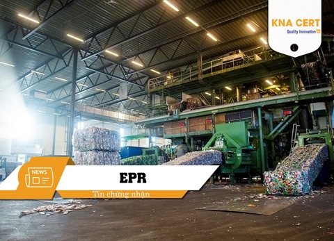 Thúc đẩy chính sách tái chế nhựa và bao bì nhựa qua quy định EPR