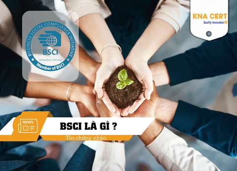 BSCI là gì? Tiêu chuẩn Trách nhiệm xã hội cho Doanh Nghiệp