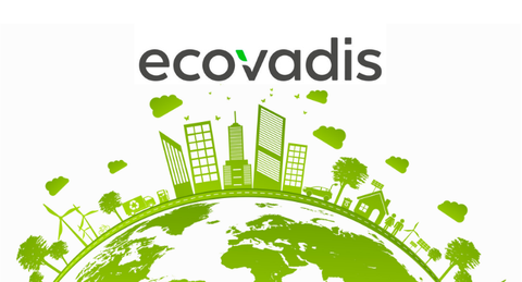 EcoVadis dành cho doanh nghiệp nào? 5 Dấu hiệu nhận biết cần đánh giá EcoVadis 