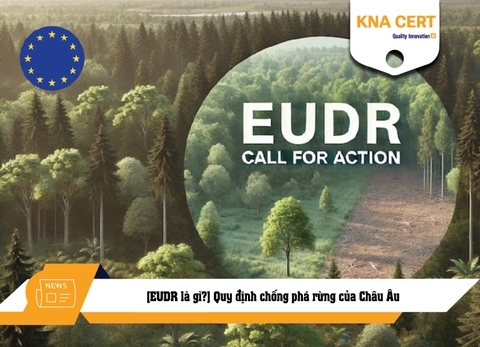 [EUDR là gì?] Quy định chống phá rừng của Châu Âu