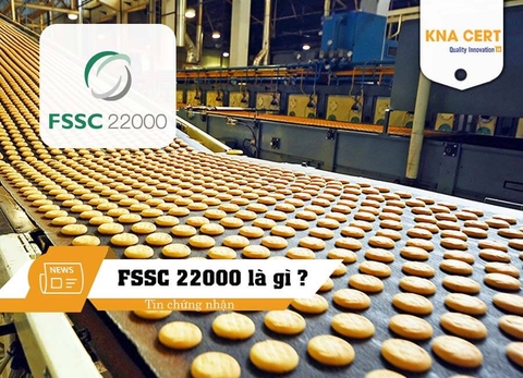 Tiêu chuẩn FSSC 22000 là gì? Điểm khác biệt trong Phiên bản 6 mới nhất