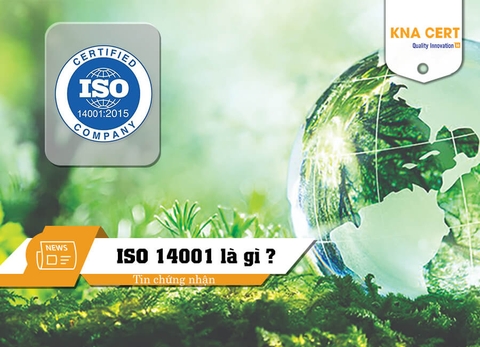 ISO 14001 là gì? Tất tần tật về Bộ tiêu chuẩn ISO về môi trường