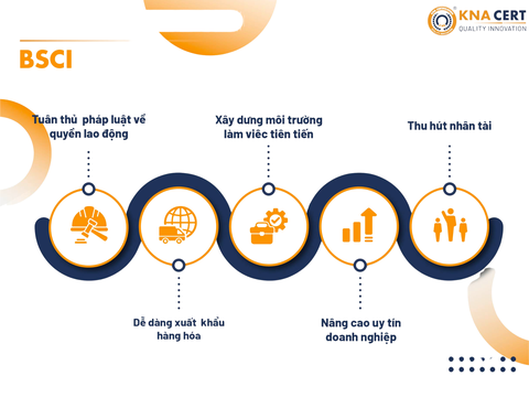 Tải tài liệu tiêu chuẩn BSCI tiếng Việt & Lợi ích khi sở hữu