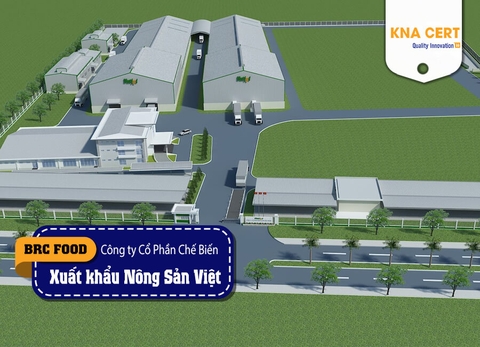 KNA đánh giá BRC FOOD (Pre-audit) cho Công ty CP Chế biến và Xuất khẩu Nông Sản Việt