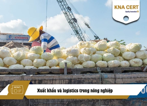 Xuất khẩu và logistics trong nông nghiệp