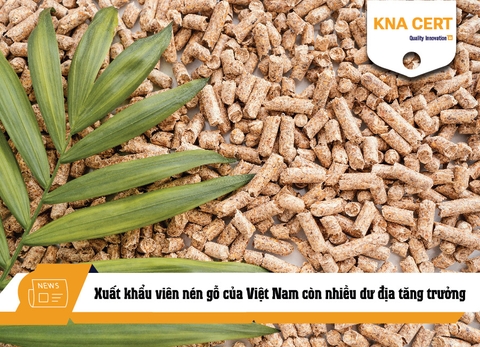 Xuất khẩu viên nén gỗ của Việt Nam còn nhiều dư địa tăng trưởng