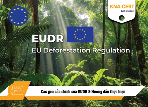 Các yêu cầu chính của EUDR & Hướng dẫn thực hiện