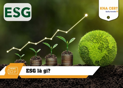 ESG là gì? Các tiêu chí ESG doanh nghiệp không thể bỏ qua