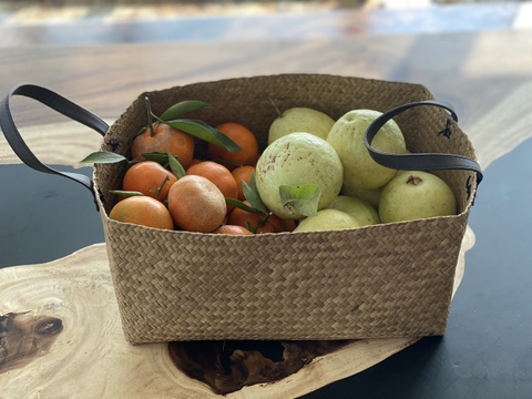 Giỏ đựng đồ khô & trái cây