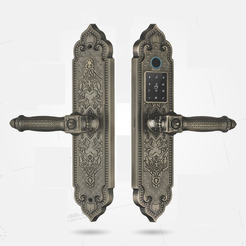 Khóa Điện Tử KASSLER KL-919 PRO GREEN APP