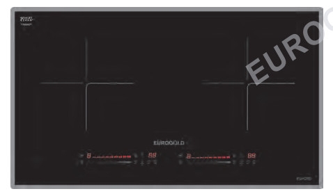 Bếp Từ EUROGOLD EUH2121