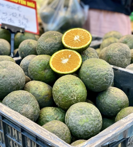 Cam sành (đơn giá kg)