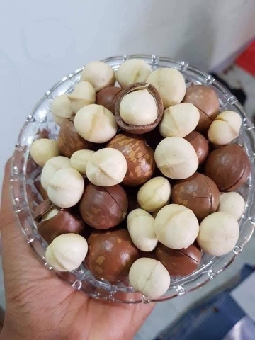 Macca size đại sấy nứt 450g - L5 (hộp)  [TẾT]