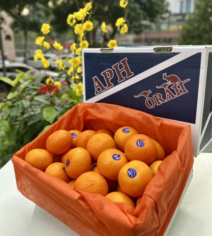 Thùng quýt 2PH - APH size 42