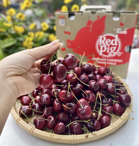 Xách cherry chile Vip 2.5kg (xách)