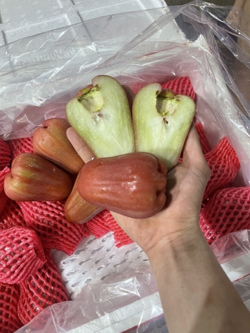 Roi (mận) An Phước