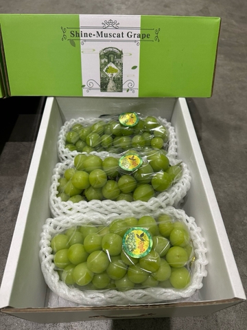 Nho sữa Trung Quốc (1kg)