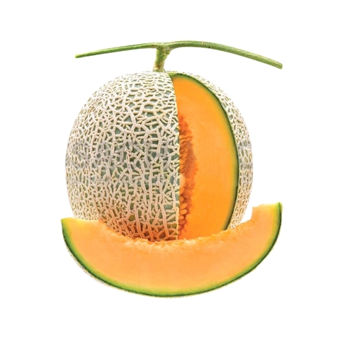 Dưa lưới TL3 Việt Nam