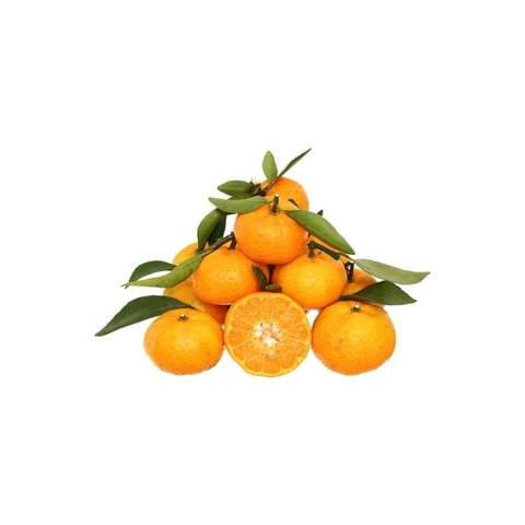 Cam đường Ôn Châu