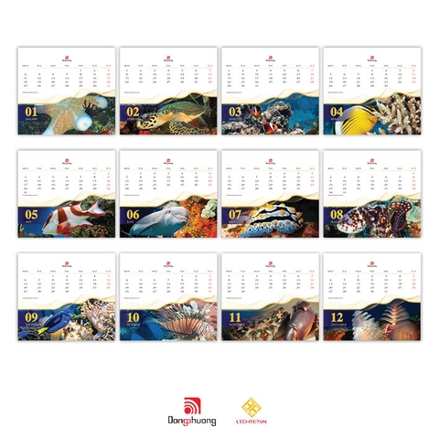 LT50- HẢI VÂN AN NHIÊN