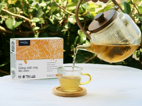 Bổ Sung Lợi Khuẩn Củng Cố Hệ Miễn Dịch Với Trà Thảo Dược Lên Men Dalahouse