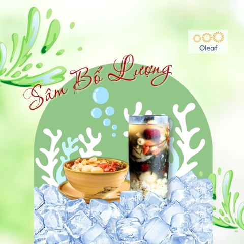 Set Sâm Bổ Lượng 11 Vị Cao Cấp Loại 1 - Thơm Ngon Bổ Dưỡng Thanh Lọc Cơ Thể Sáng Mắt Đẹp Da Dưỡng Nhan - OLEAF Trà