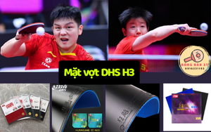 Mặt vợt DHS Hurricane 3 (H3) – Tinh hoa bóng bàn Trung Quốc, lựa chọn của nhà vô địch