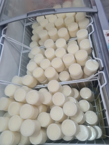 Bán buôn 100 Hũ Sữa Chua Handmade Vũ Như Hũ To