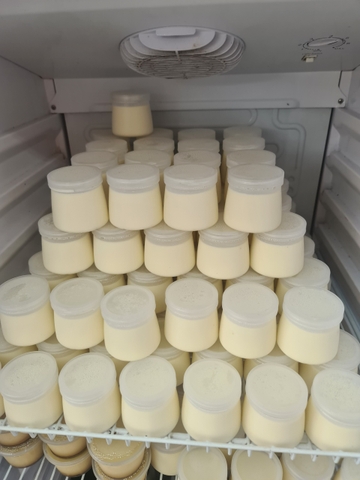 Bán buôn 100 Hũ Sữa Chua Handmade Vũ Như Hũ To