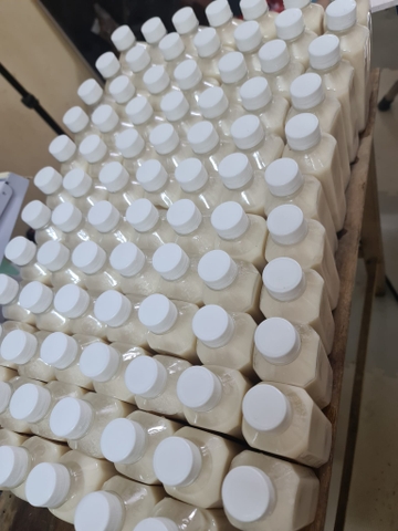 Bán buôn 100 chai sữa gạo lứt rang truyền thống