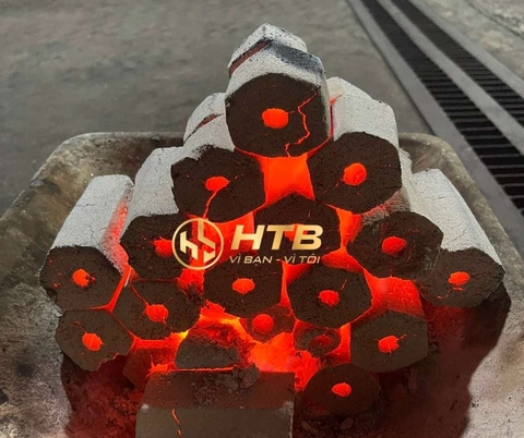 Than Gáo dừa không khói BBQ