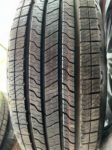 275/45R21 GOODYEAR Thái WRANGLER TERRITORY HT
